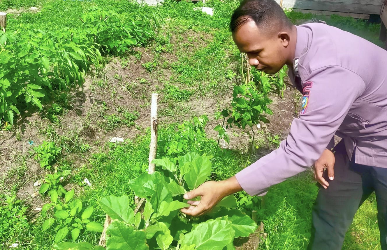 Bhabinkamtibmas Polsek Mendawai cek lokasi pemanfaatan pekarangan rumah warga binaan.