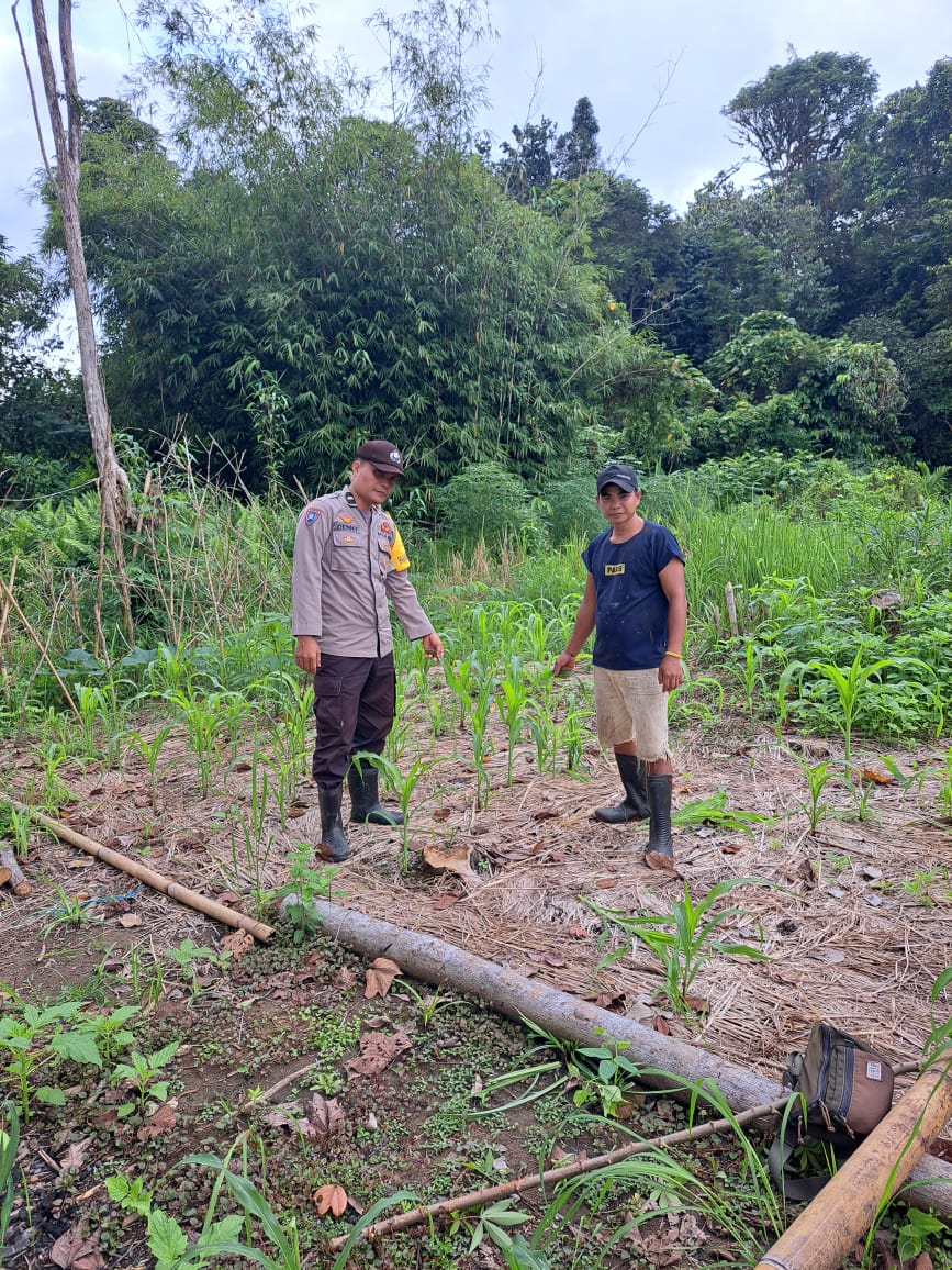 Mendukung Ketahanan Pangan, Personil Polsek Katingan Hulu dan Bukit Raya Cek Lokasi Pemanfaatan Pekarangan Warga.