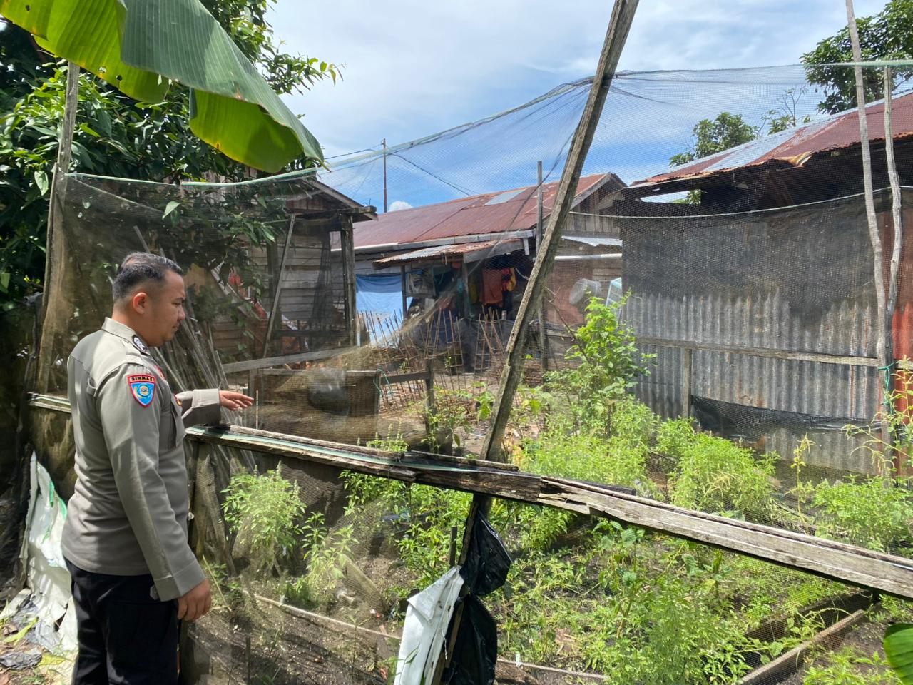 Dalam Rangka Mendukung Program Pemerintah, Bhabinkamtibmas Desa Kampung Melayu Polsek Mendawai Cek Lokasi Pemanfaatan Lahan Pekarangan Warga