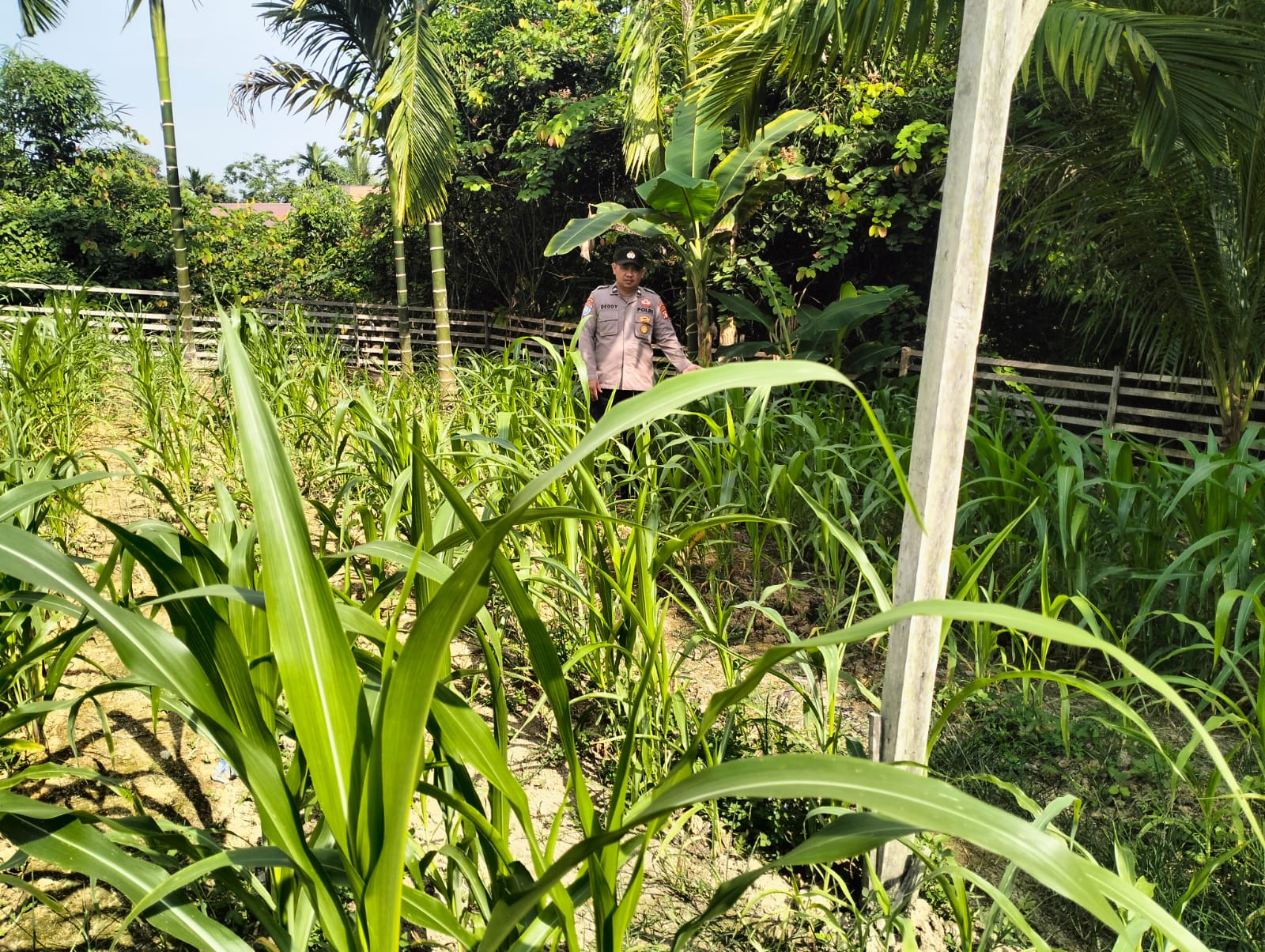 Personil Polsek Marikit Cek Lokasi Pemanfaatan Pekarangan Warga di Kec. Marikit, Kab. Katingan.