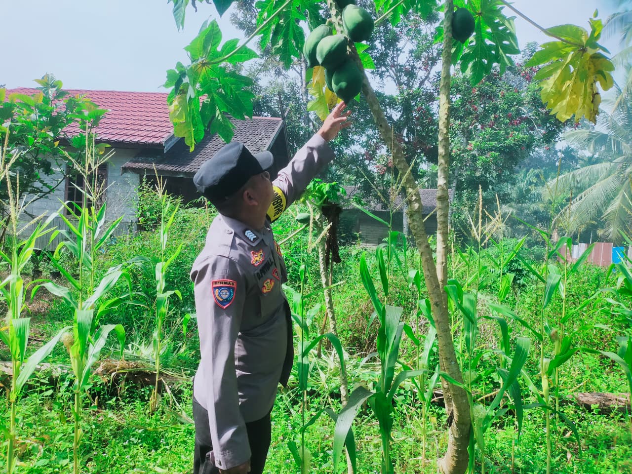 Mendukung Ketahanan Pangan, Personil Polsek sanaman mantikei Cek Lokasi Pemanfaatan Pekarangan Warga.