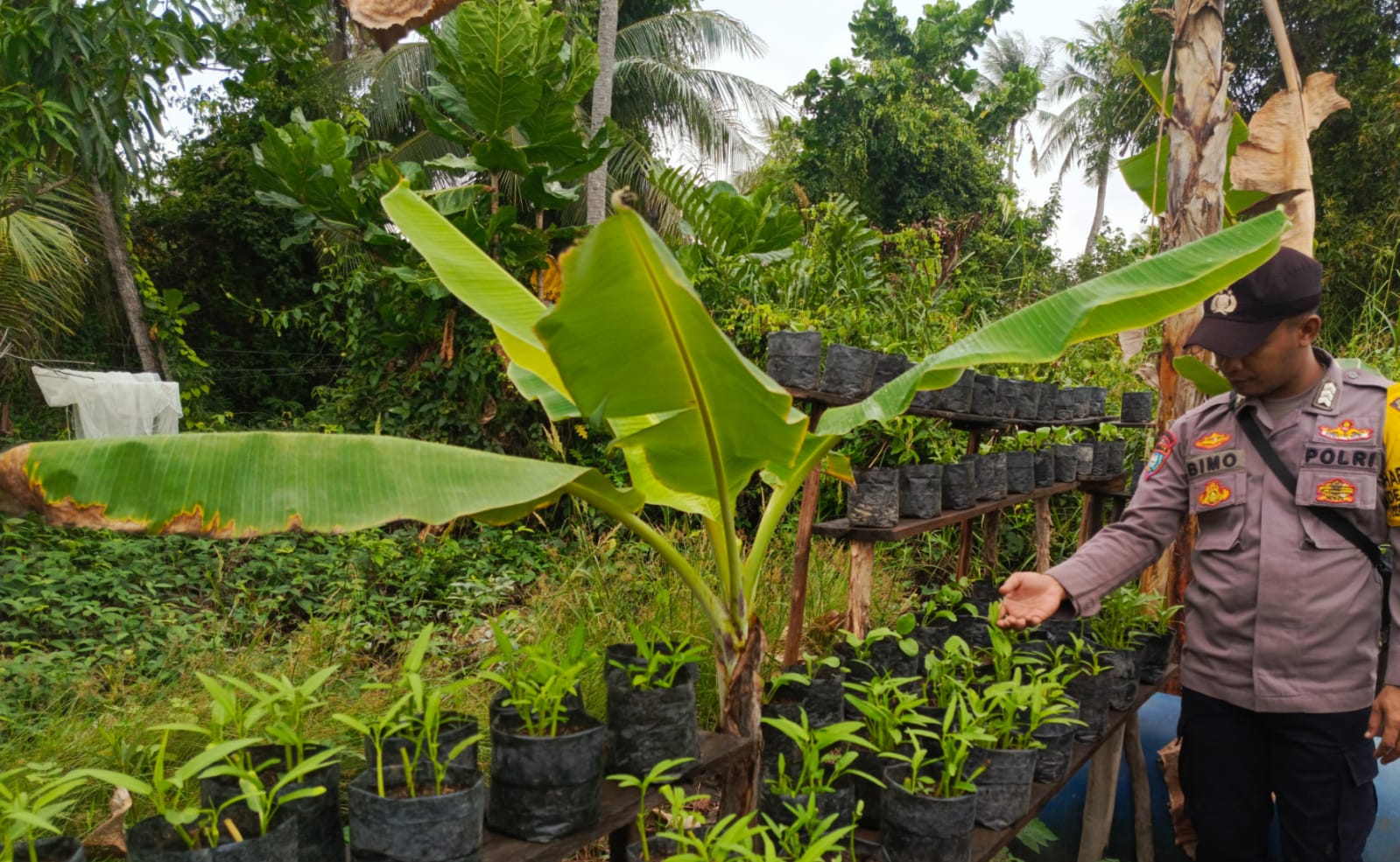 Bhabinkamtibmas Polsek Mendawai cek lokasi pemanfaatan pekarangan rumah warga binaan.