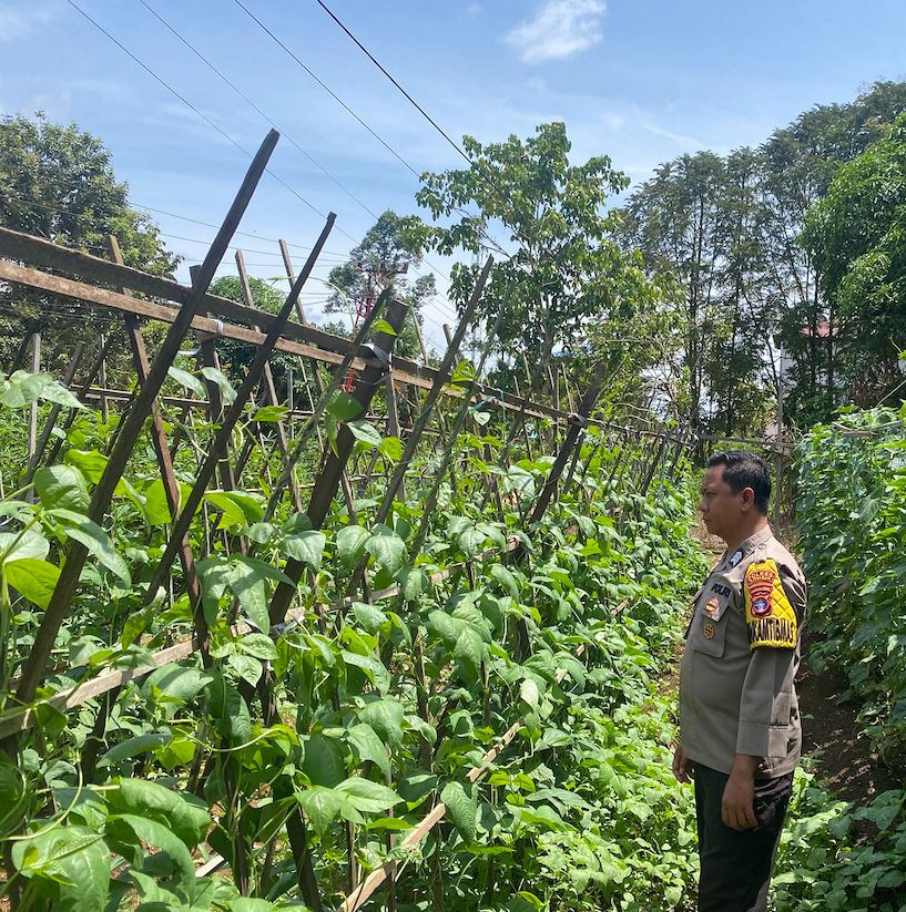 Mendukung Ketahanan Pangan, Personil Polsek sanaman mantikei Cek Lokasi Pemanfaatan Pekarangan Warga.