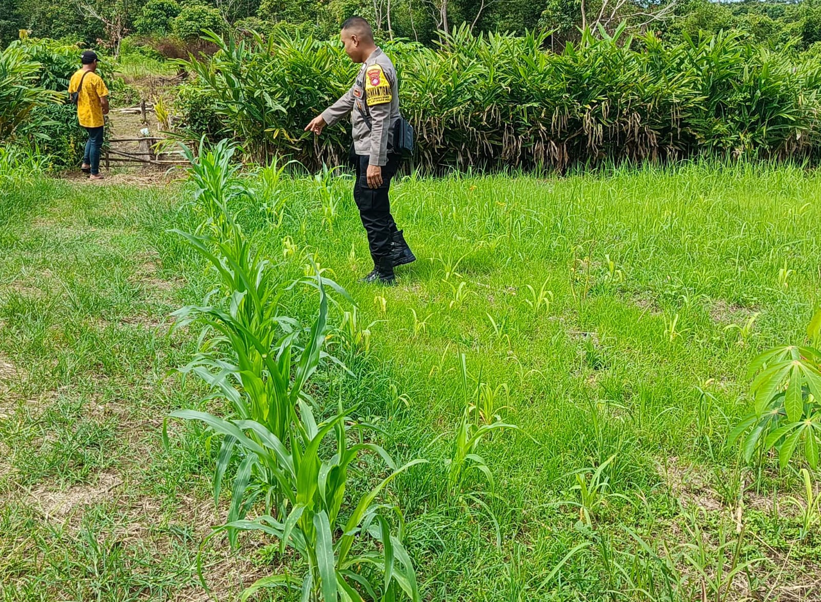 Mendukung Ketahanan Pangan, Personil Polsek Katingan Hulu Cek Lokasi Pemanfaatan Pekarangan Warga.