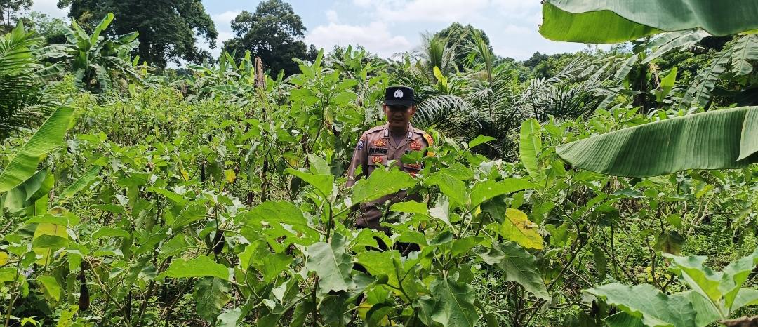Polsek Tewang Sangalang Garing dan Pulau Malan Imbau Warga Tingkatkan Pemanfaatan Lahan Untuk Ketahanan Pangan