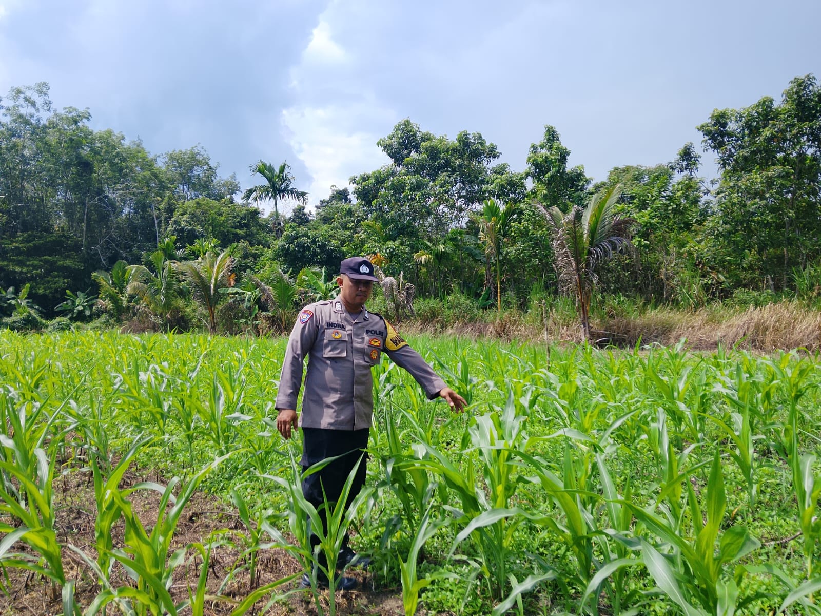 Polsek Tewang Sangalang Garing dan Pulau Malan imbau warga tingkatkan pemanfaatan lahan untuk ketahanan pangan