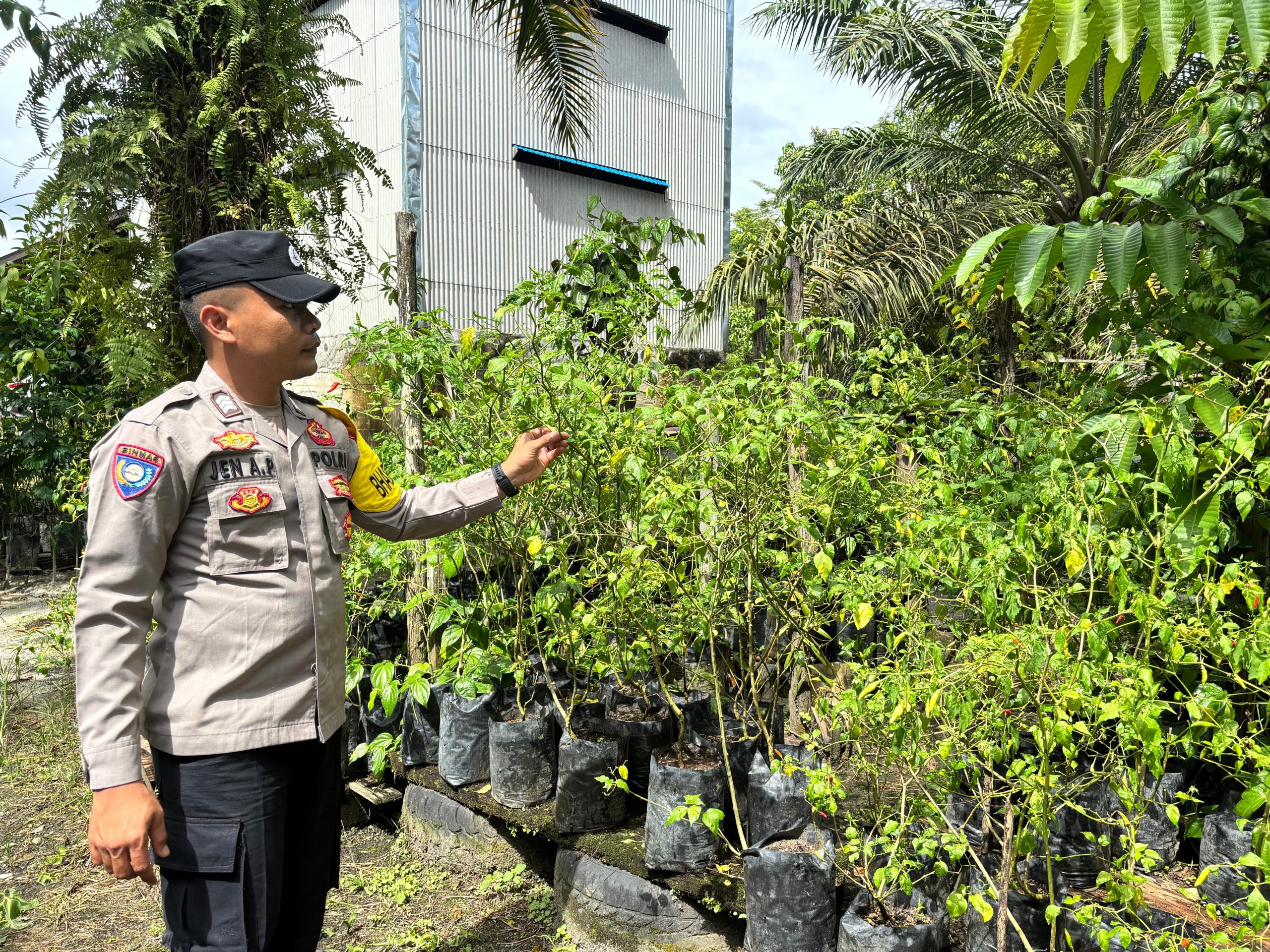 Polsek Tewang Sangalang Garing dan Pulau Malan Imbau Warga Tingkatkan Pemanfaatan Lahan Untuk Ketahanan Pangan