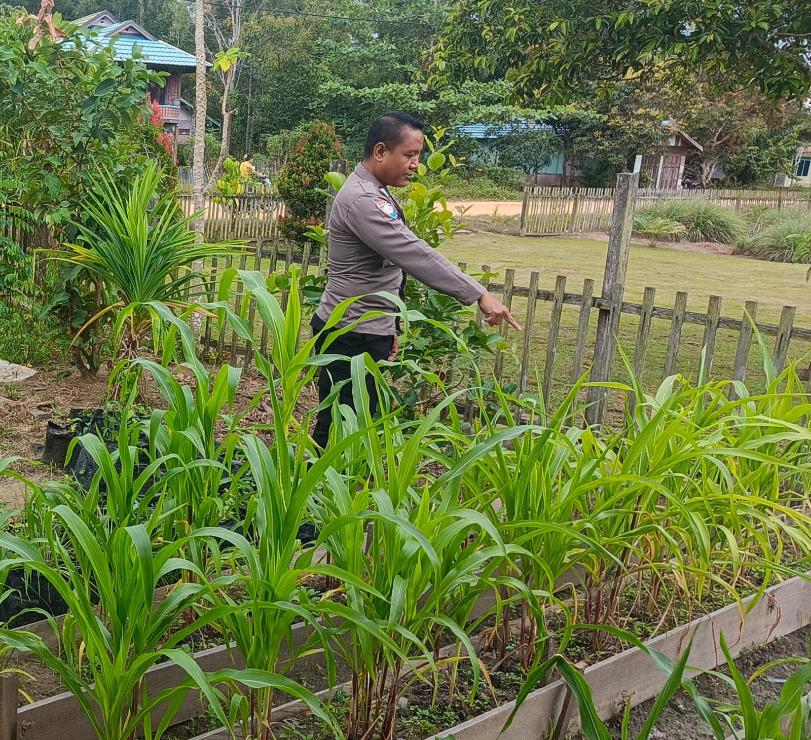 Mendukung Ketahanan Pangan, Personil Polsek Katingan Hulu Cek Lokasi Pemanfaatan Pekarangan Warga.