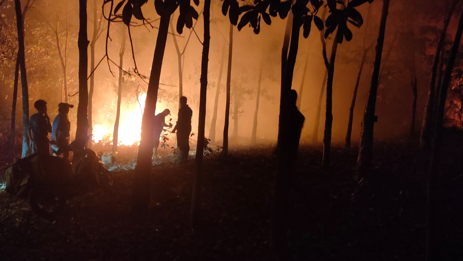 Berjibaku Hingga Pagi, Personel Brimob Padamkan Karhutla di Desa Ugang Sayu