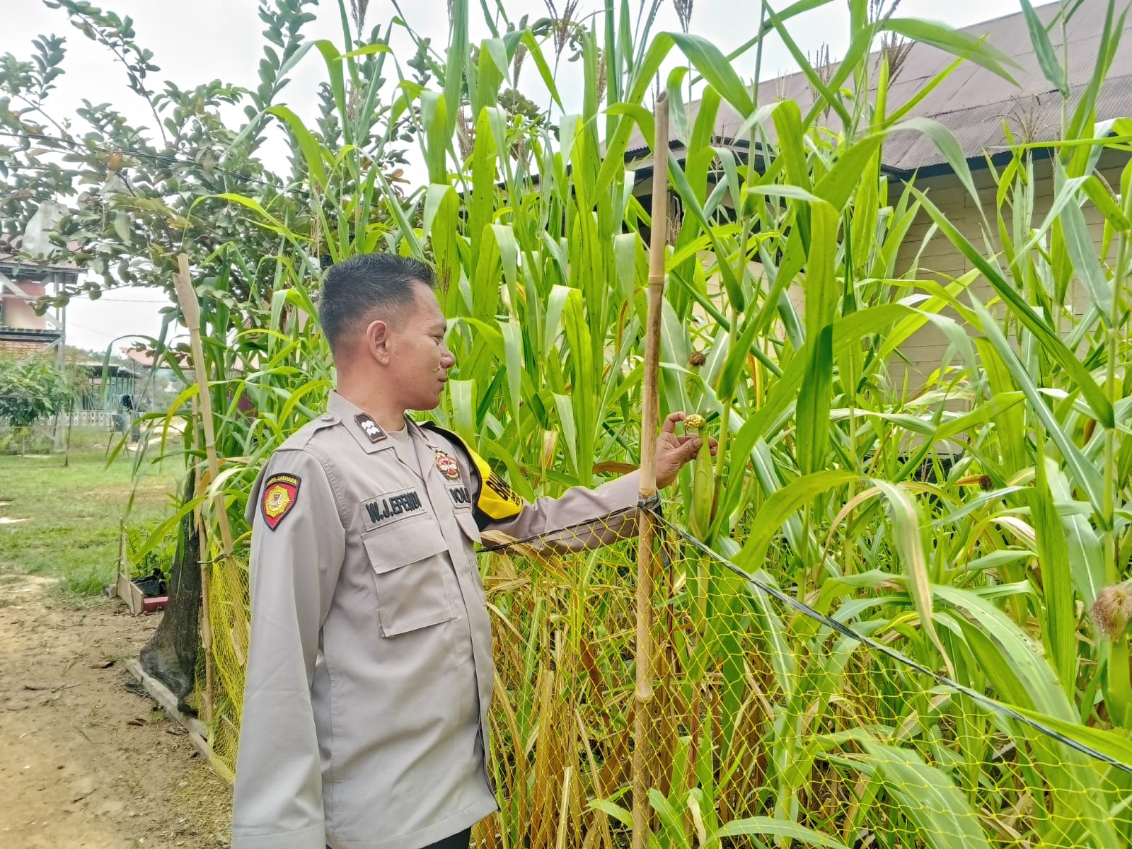 ‎Mendukung Ketahanan Pangan, Personil Polsek Katingan Hulu  Cek Lokasi Pemanfaatan Pekarangan Warga.