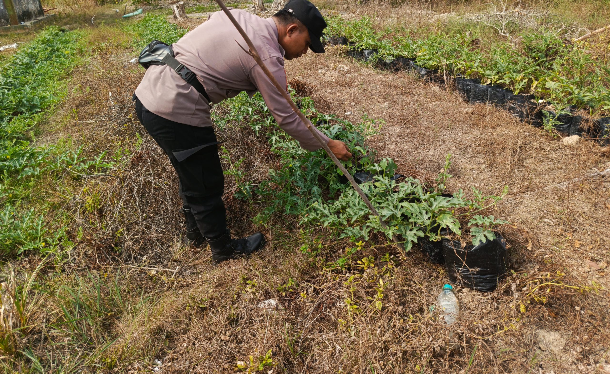 Bhabinkamtibmas Polsek Mendawai cek lokasi pemanfaatan pekarangan rumah warga binaan.