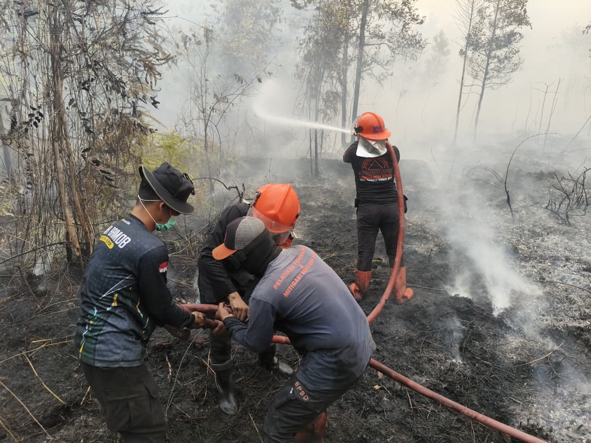 Bersinergi Padamkan Karhutla, Batalyon C Pelopor dan BPBD Bergerak di Bahitom
