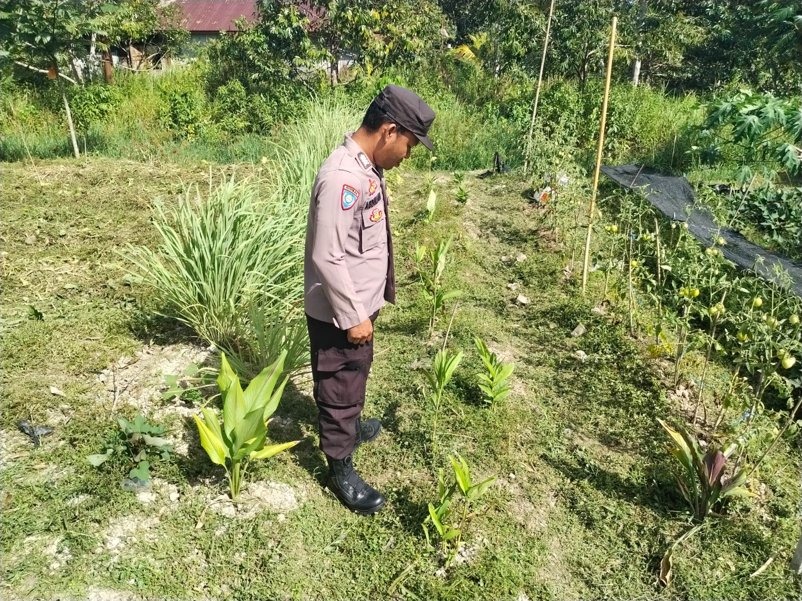 Dalam Rangka Mendukung Program Pemerintah, Bhabinkamtibmas Desa Tewang Kampung Polsek Mendawai Cek Lokasi Pemanfaatan Lahan Pekarangan Warga