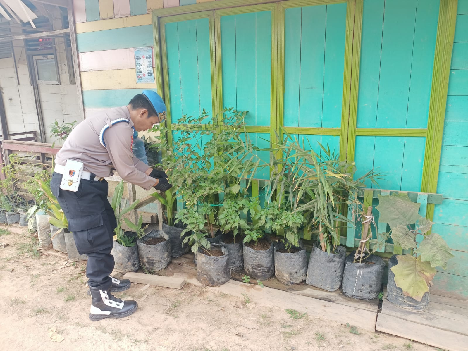 Bukan Sekadar Patroli, Polsek Marikit Aktif Pantau Lahan Produktif Warga