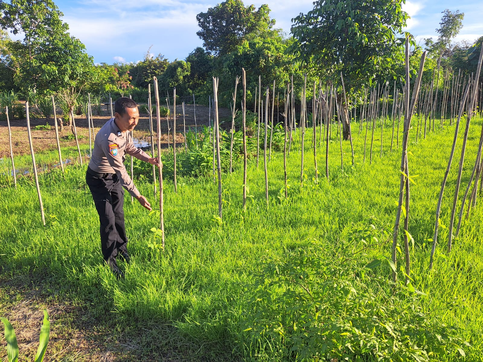 Mendukung Ketahanan Pangan, Personil Polsek Katingan Hulu dan Bukit Raya Cek Lokasi Pemanfaatan Pekarangan Warga.