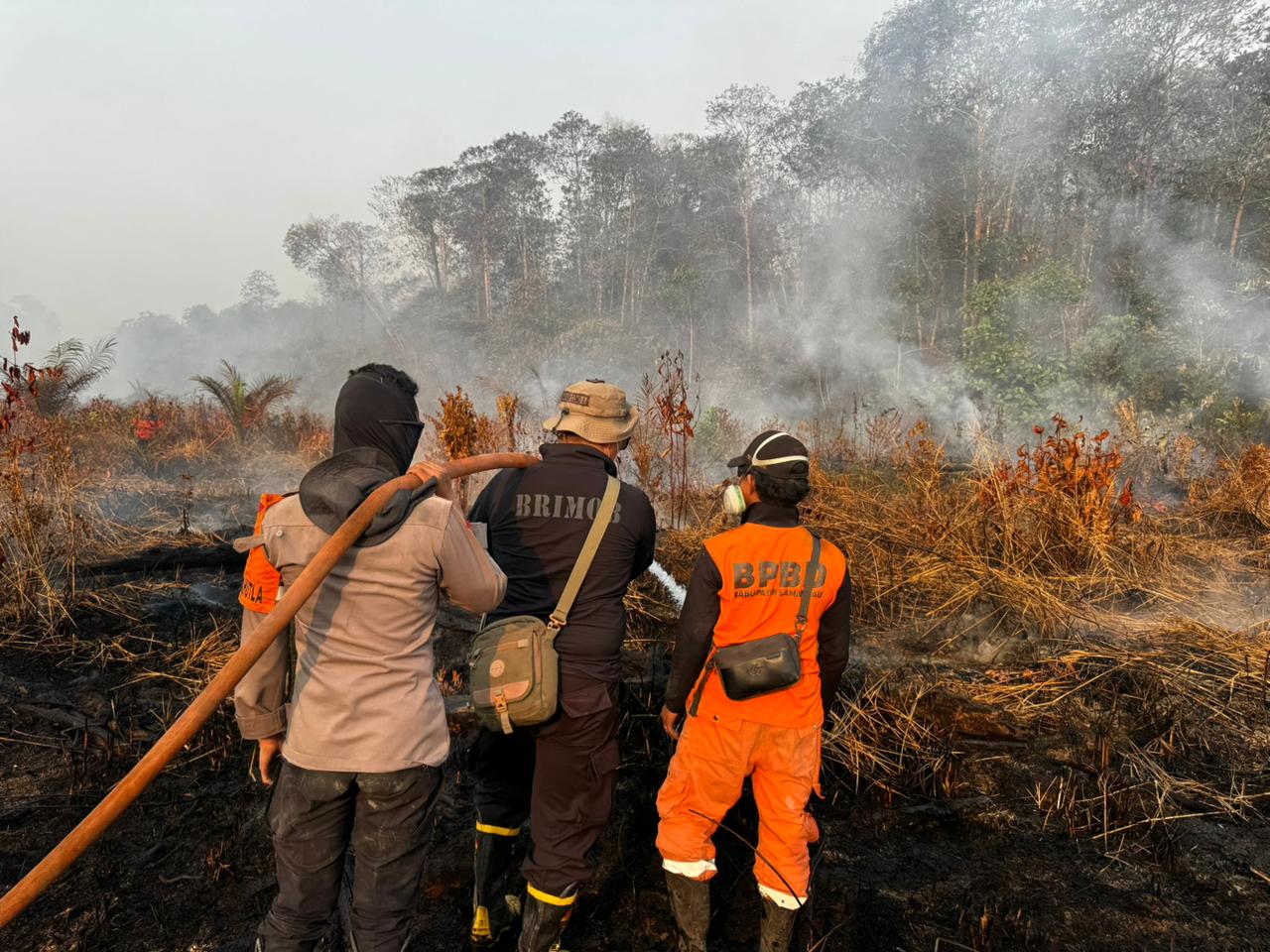 Brimob Kalteng Tak Kenal Lelah, Terus Jinakkan Api Kebakaran di Lamandau