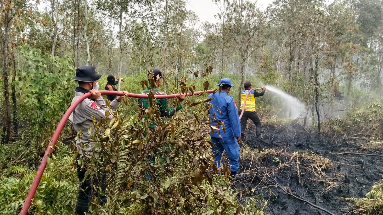 Satbrimob Polda Kalteng Bersama Tim Gabungan Terus Padamkan Karhutla di Sampit