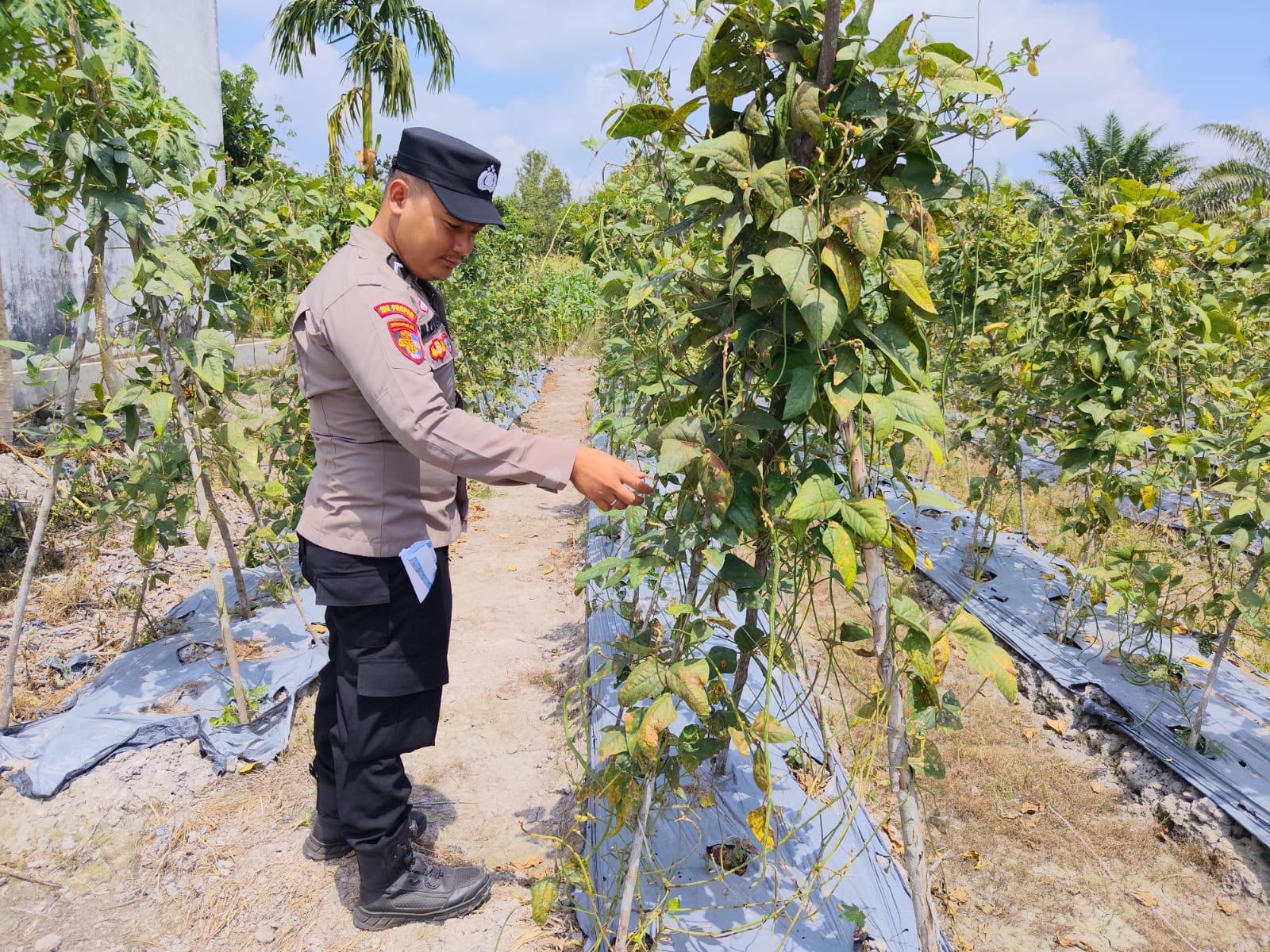 Personel Polsek Tewang Sangalang Garing dan Pulau Malan melaksanakan pengecekan lokasi pemanfaatan lahan pekarangan warga Binaannya