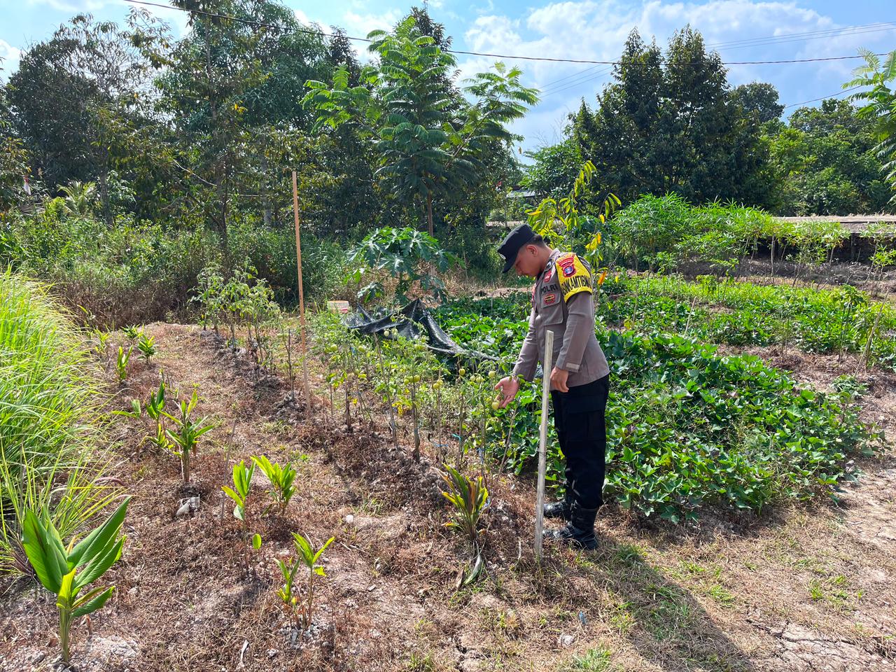Dalam Rangka Mendukung Program Pemerintah, Bhabinkamtibmas Desa Mendawai Polsek Mendawai Cek Lokasi Pemanfaatan Lahan Pekarangan Warga