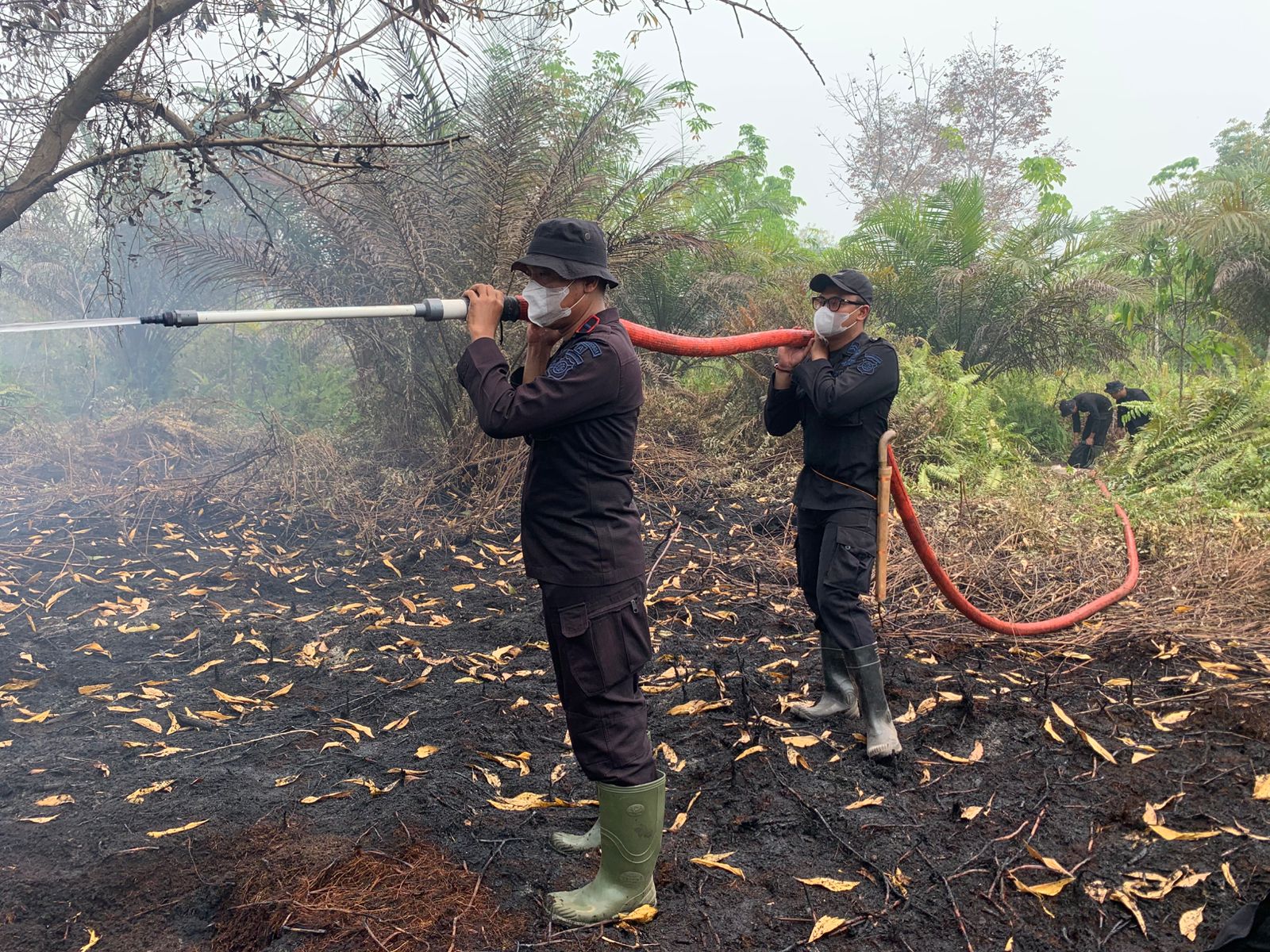 Sigap Tangani Karhutla, Tim Bravo 3 Batalyon A Pelopor Padamkan Api di Jalan Manduhara