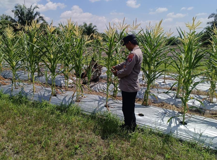 Personel Polsek Tewang Sangalang Garing dan Pulau Malan melaksanakan pengecekan lokasi pemanfaatan lahan pekarangan warga Binaannya