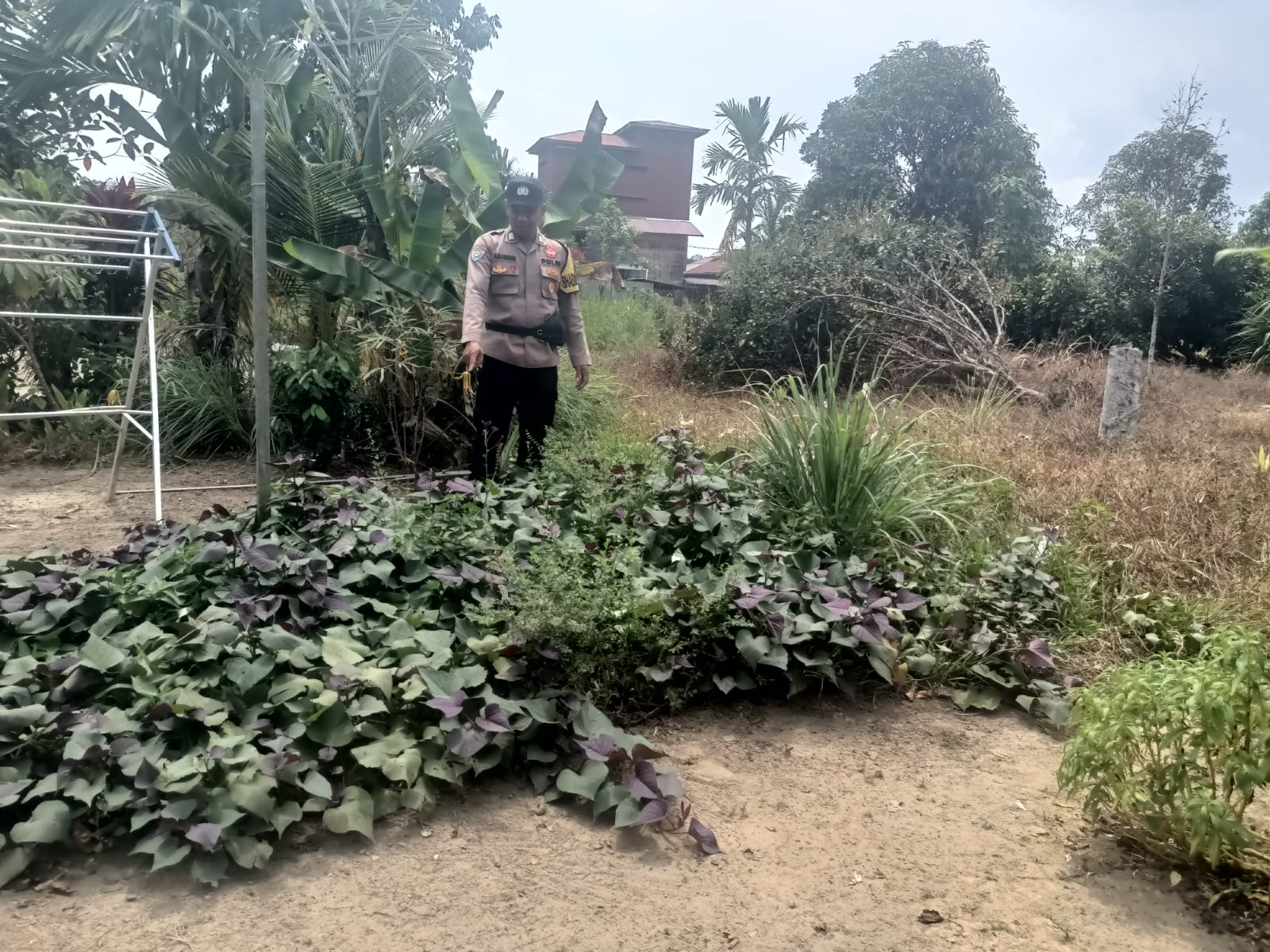Polsek Marikit Bergerak: Desa Kuat Dimulai dari Lahan yang Dirawat