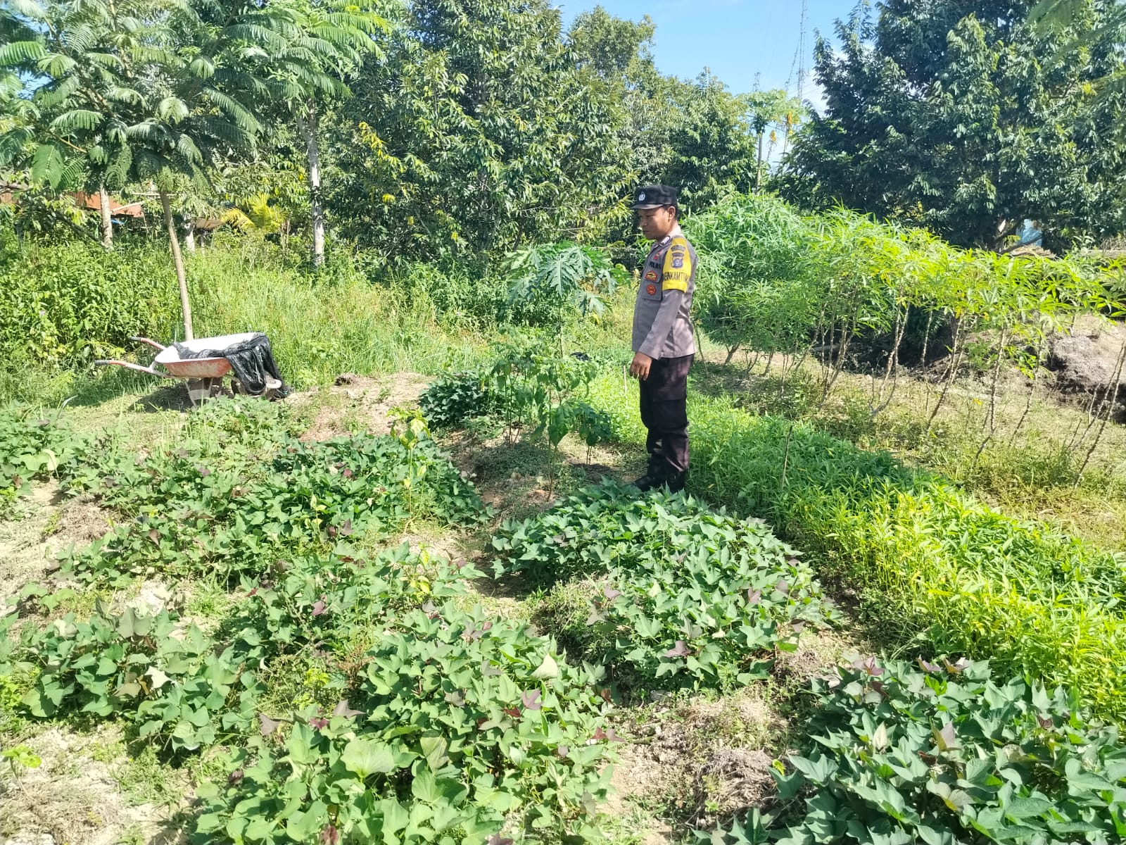 Dalam Rangka Mendukung Program Pemerintah, Bhabinkamtibmas Desa Tewang Kampung Polsek Mendawai Cek Lokasi Pemanfaatan Lahan Pekarangan Warga