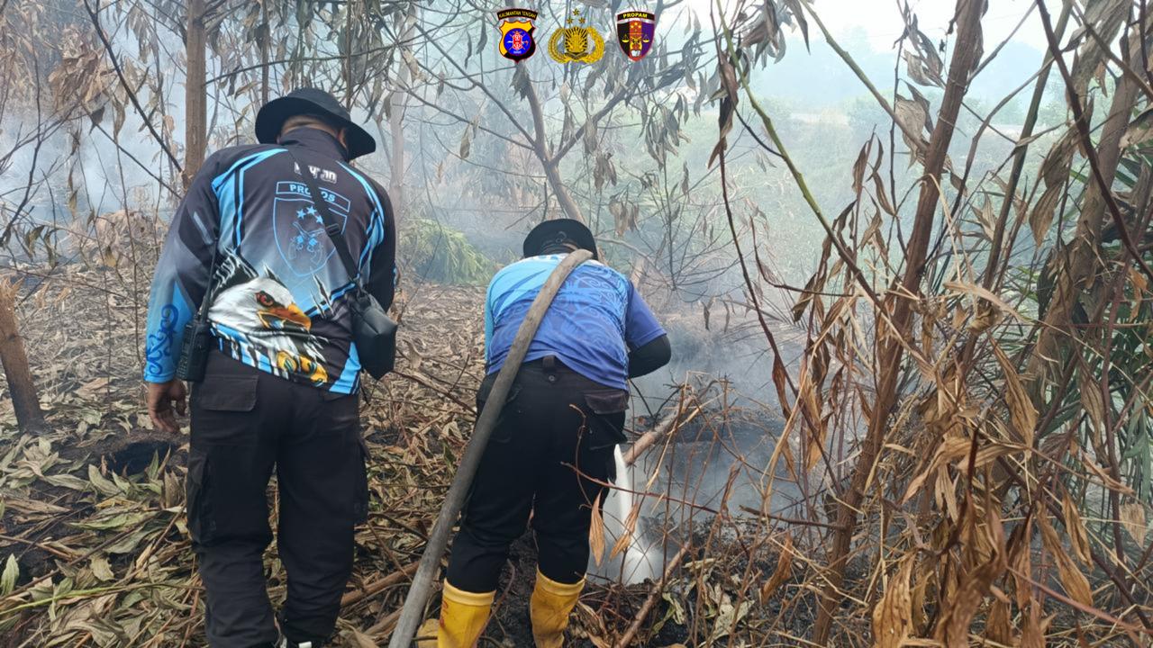 Sigap Lawan Karhutla, Pesonel Bidpropam Polda Kalteng Kembali Padamkan Api di Lingkar Luar Palangka Raya