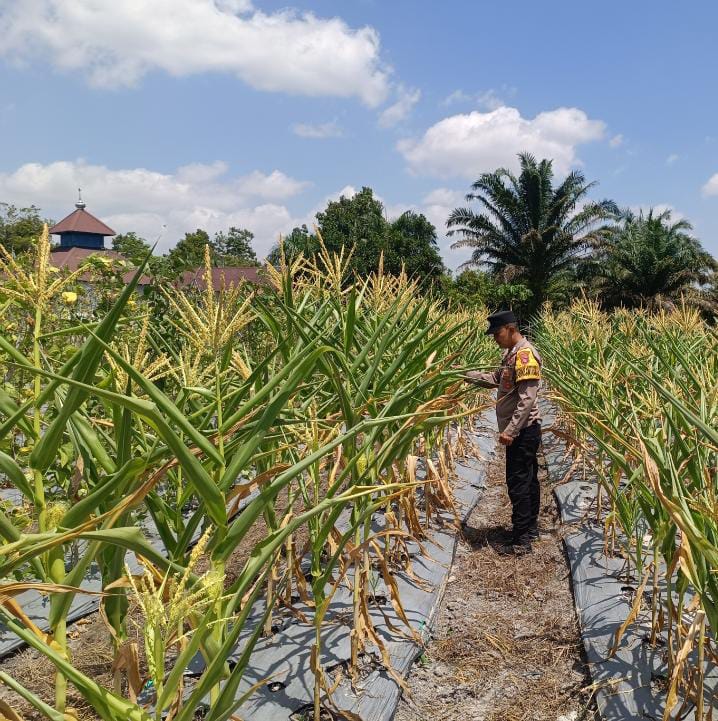 Personel Polsek Tewang Sangalang Garing dan Pulau Malan melaksanakan pengecekan lokasi pemanfaatan lahan pekarangan warga Binaannya