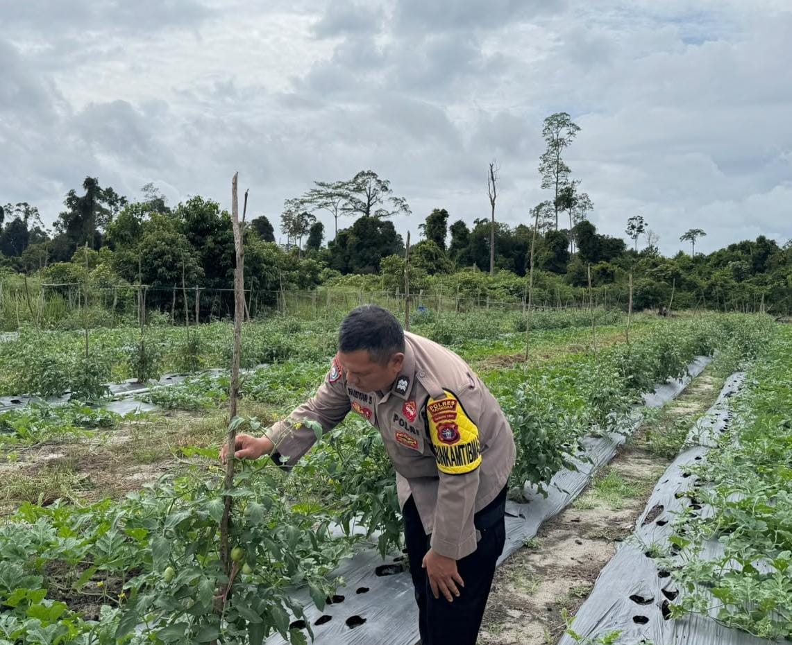 Personel Polsek Tewang Sangalang Garing dan Pulau Malan melaksanakan pengecekan lokasi pemanfaatan lahan pekarangan warga Binaannya