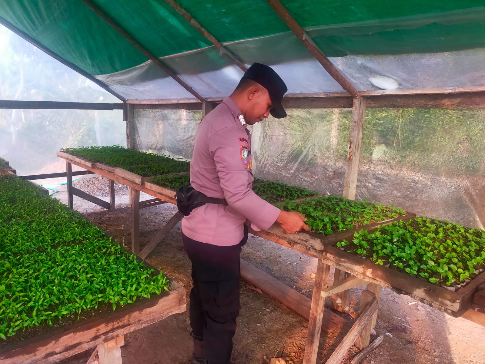 Bhabinkamtibmas Polsek Mendawai cek lokasi pemanfaatan pekarangan rumah warga binaan.
