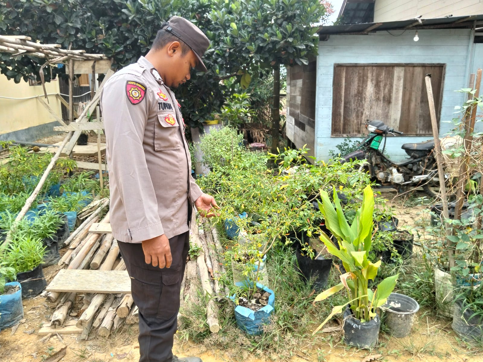 DUKUNG KETAHAN PANGAN, POLSEK MARIKIT CEK LAHAN P2B MILIK WARGA DESA TUMBANG DAKEI