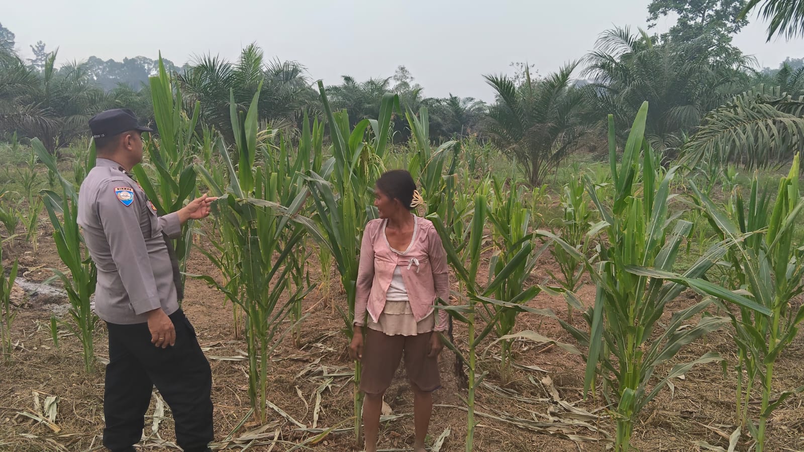Mendukung Ketahanan Pangan, Personil Polsek sanaman mantikei dan petak malai Cek Lokasi Pemanfaatan Pekarangan Warga.