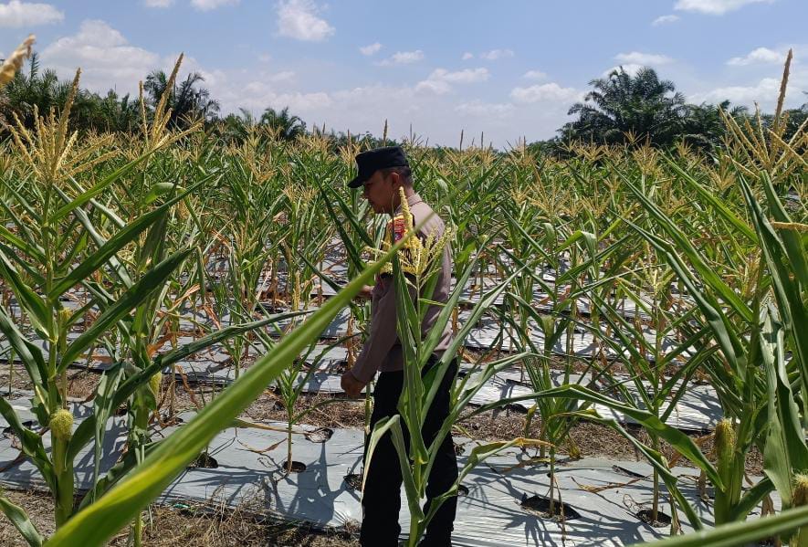 Personel Polsek Tewang Sangalang Garing dan Pulau Malan melaksanakan pengecekan lokasi pemanfaatan lahan pekarangan warga Binaannya