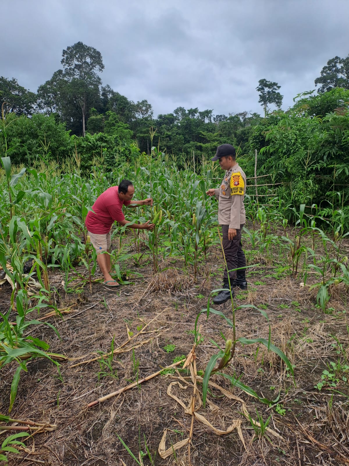 Mendukung Ketahanan Pangan, Personil Polsek Katingan Hulu dan Bukit Raya Cek Lokasi Pemanfaatan Pekarangan Warga.