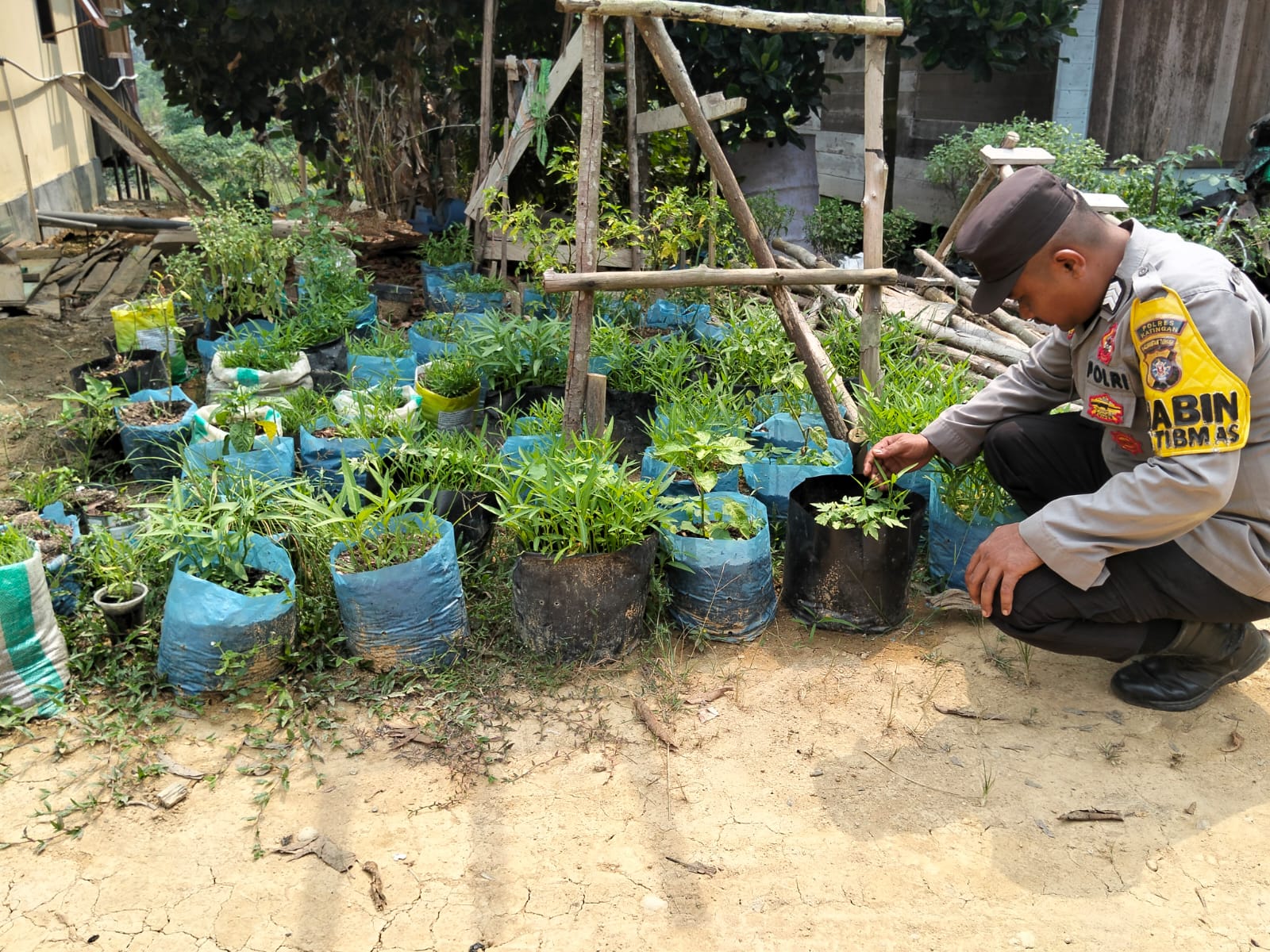 Dukung Swasembada Pangan, Polsek Marikit Cek Lahan P2B Milik Warga Desa Tumbang Dakei
