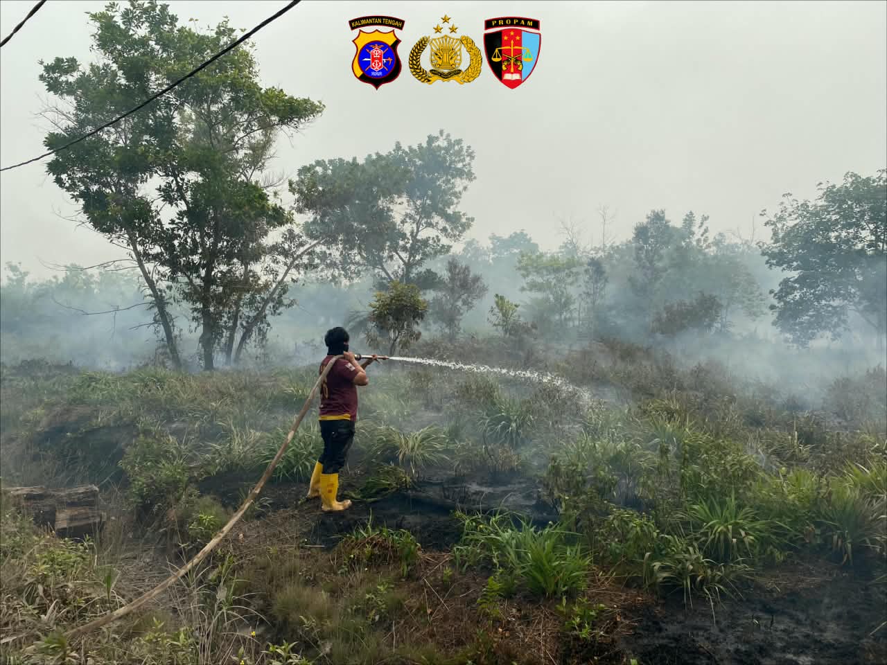 Tanggap Atasi Karhutla, Satgas Bidpropam Polda Kalteng Jinakkan Titik Api di Kereng Bangkirai