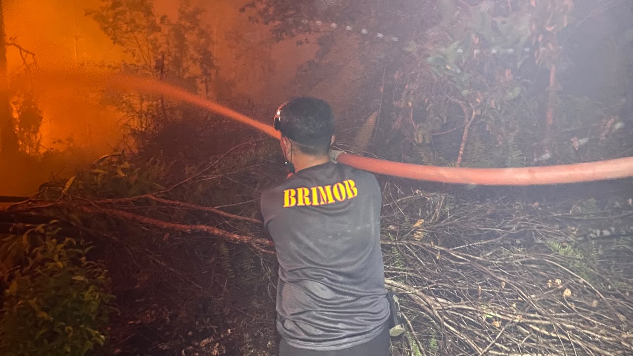 Dansatbrimob Kalteng Turun Langsung Padamkan Karhutla di Km.21