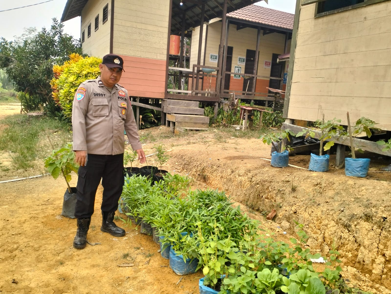 DUKUNG KETAHANAN PANGAN NASIONAL, POLSEK MARIKIT DAMPINGI PETANI DI TUMBANG HIRAN