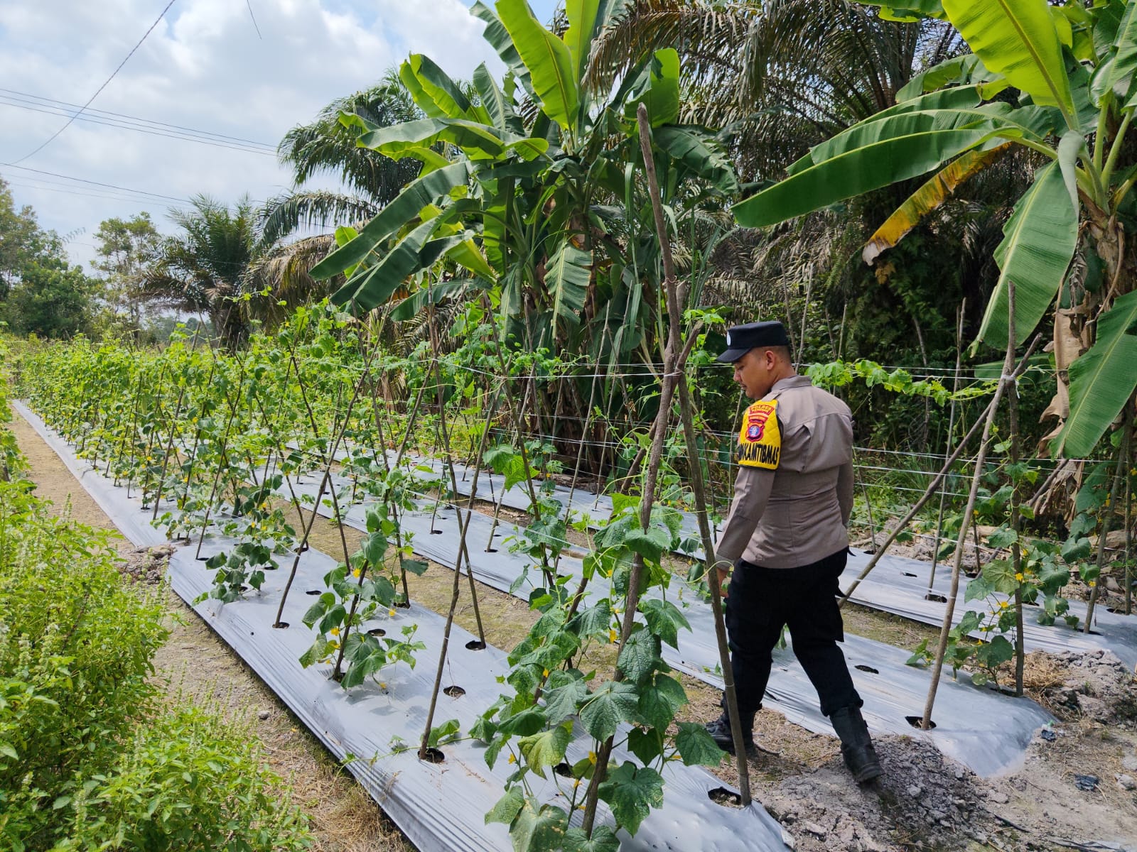 Personel Polsek Tewang Sangalang Garing dan Pulau Malan melaksanakan pengecekan lokasi pemanfaatan lahan pekarangan warga Binaannya