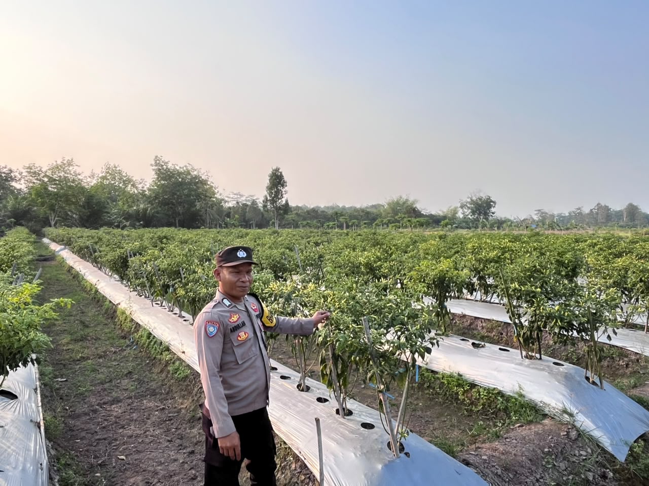 Dalam Rangka Mendukung Program Pemerintah, Bhabinkamtibmas Desa Tewang Kampung Polsek Mendawai Cek Lokasi Pemanfaatan Lahan Pekarangan Warga