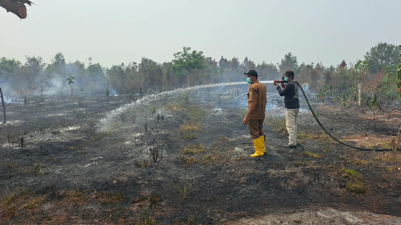 Personel SPN Polda Kalteng Sigap Padamkan Kebakaran Lahan Di Desa Bukit Rawi