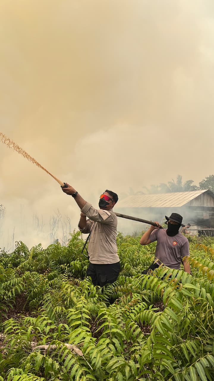 Turun Langsung Padamkan Api, Dirsamapta Bersama Personel Ditsamapta Sigap Hadapi Karhutla