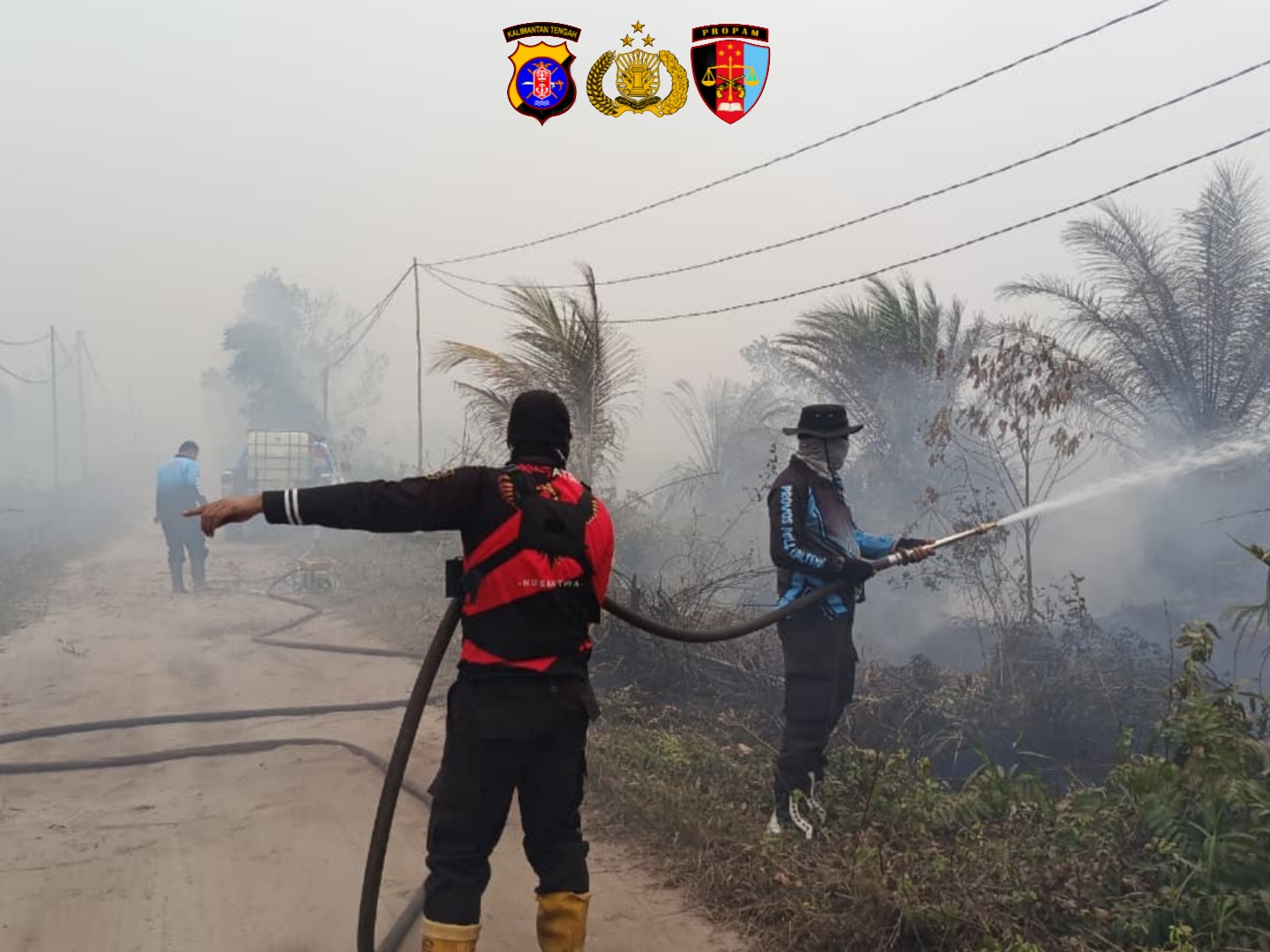 Tembus Kepulan Asap Tebal, Satgas Karhutla Bidpropam Polda Kalteng Padamkan Api di Bukit Tunggal