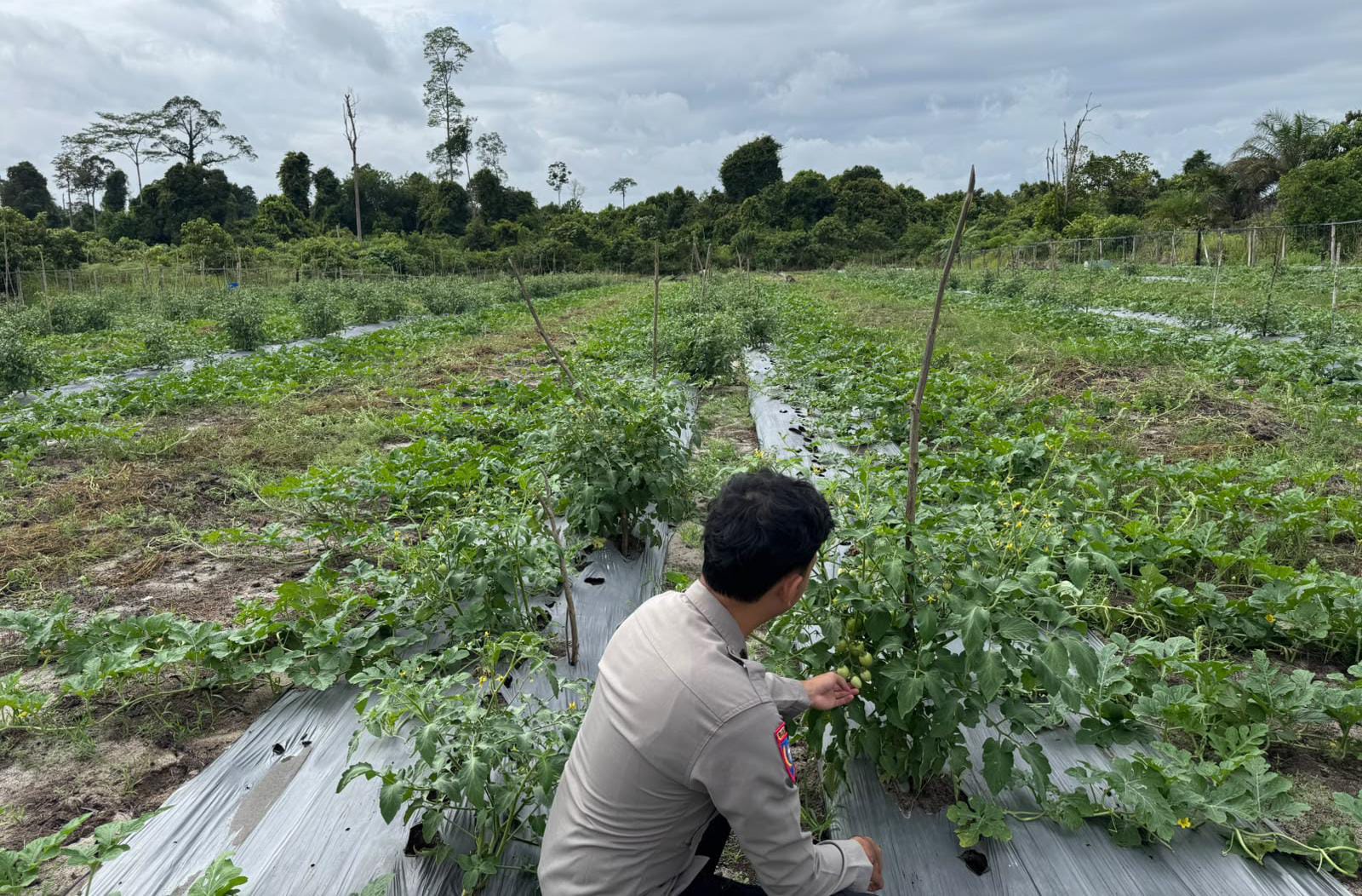 Personel Polsek Tewang Sangalang Garing dan Pulau Malan melaksanakan pengecekan lokasi pemanfaatan lahan pekarangan warga Binaannya