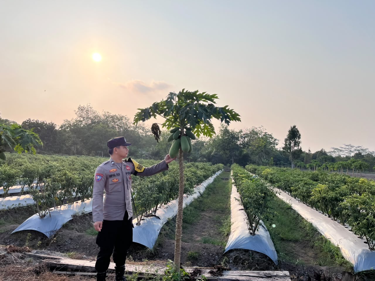 Dalam Rangka Mendukung Program Pemerintah, Bhabinkamtibmas Desa Mendawai Polsek Mendawai Cek Lokasi Pemanfaatan Lahan Pekarangan Warga